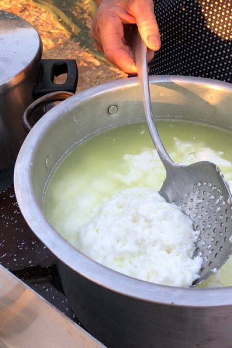 Cretan Farm Tour With Cheese-Making & Food Picnic - Traditional Cretan Food and Refreshments