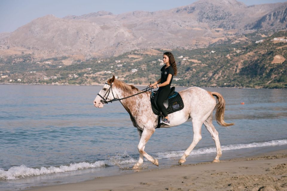 Crete Horse Riding: Plakias Beach Ride - Meeting Point and Directions