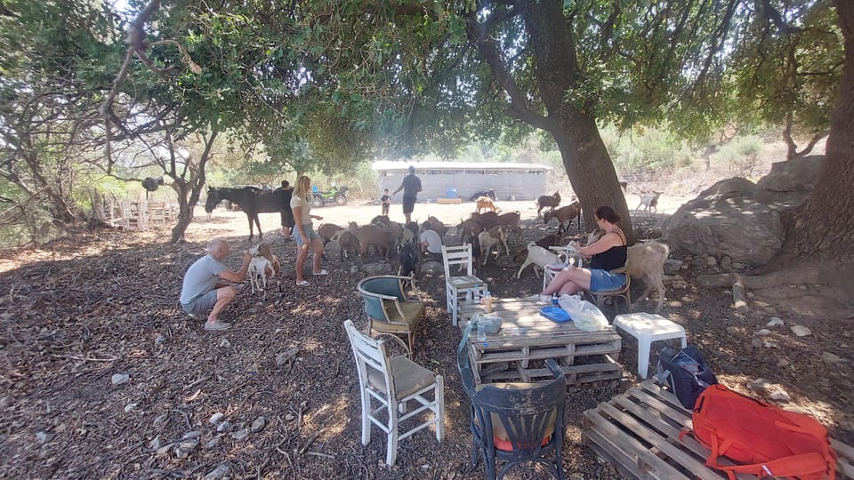 CRETE : QUADS TOURS ECO FRIENDLY ADVENTURE - HIGH PERF - Guest Feedback and Ratings