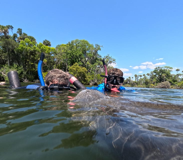 Crystal River: Guided Manatee Snorkeling Tour - Important Information