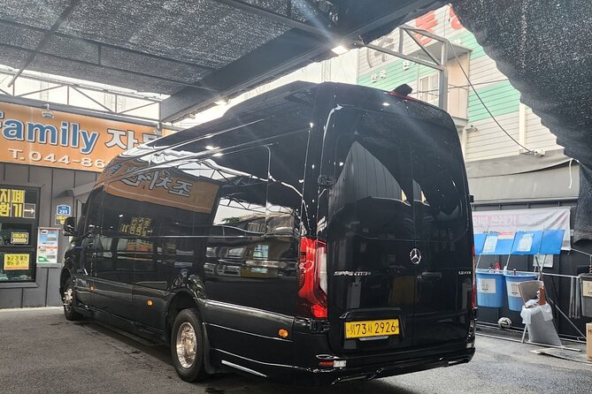 Customizable Private Seoul Tour in Luxury Van for VIP - Pricing Details