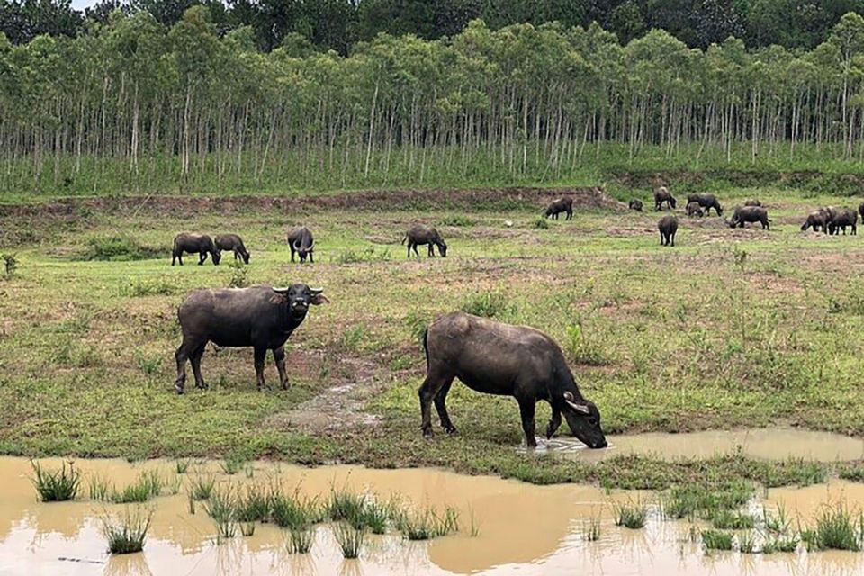 Da Lat Exploring Tour On Private Car - Customer Feedback