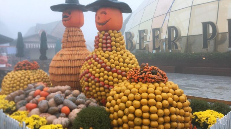 Da Nang: Ba Na Hills - a Full-Day Trip - Important Information