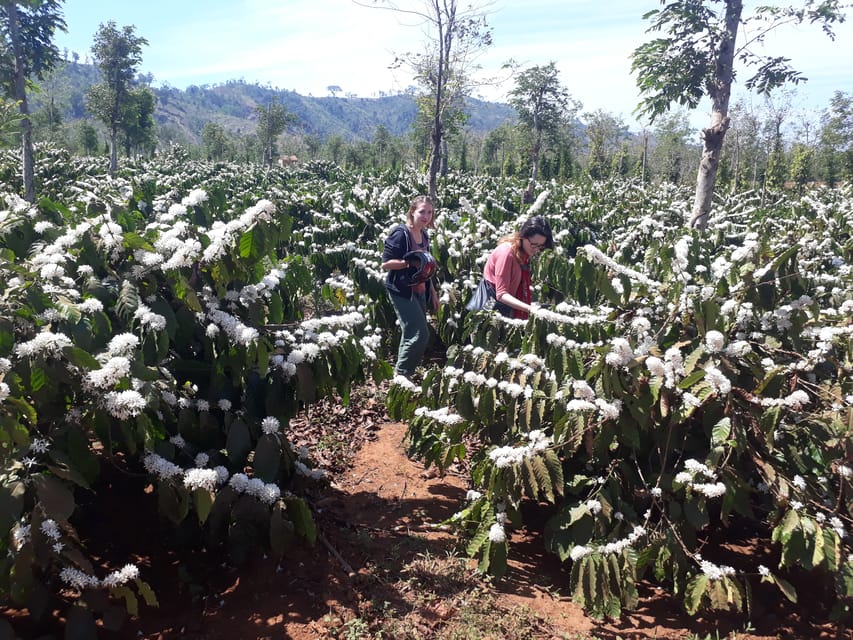 Dalat: Easy Rider - Exploring Dalat Countryside Day Tour - Important Safety Information