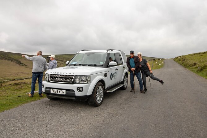 Dartmoor Tour in Luxury Mercedes 7 X Seater - Knowledgeable and Engaging Guide