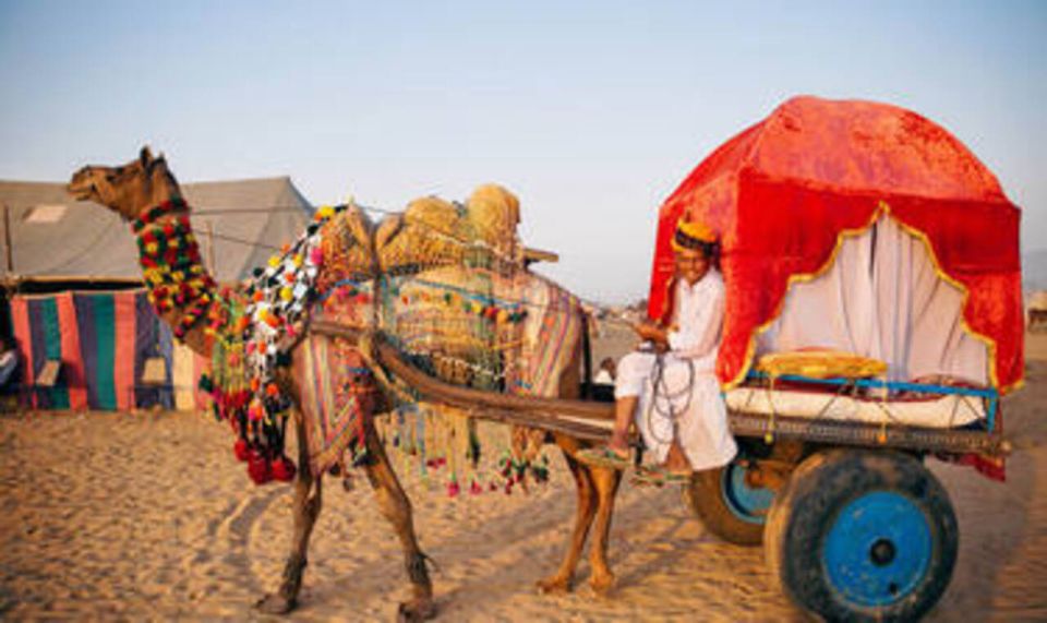 Day Tour From Pushkar Without Guide - Frequently Asked Questions