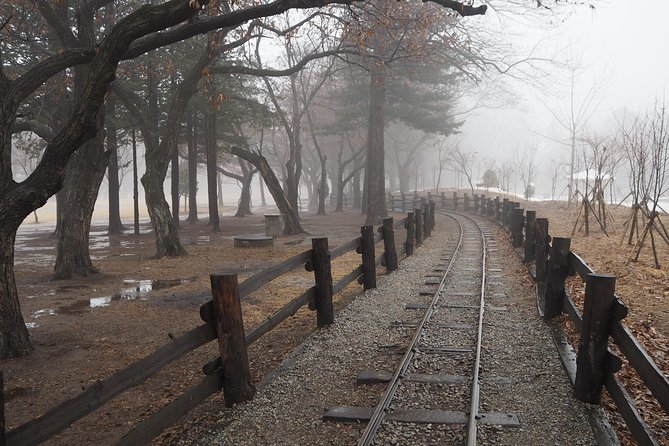 Day Tour to Gangchon Rail Bike Nami Island and Petite France - Logistics and Accessibility