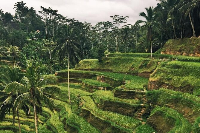 Day Tour With Sunrise and Waterfall - Tegalalang Rice Fields