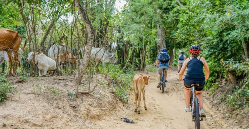 Day Trip From Sihanoukville to Phnom Penh for Cruise Ship - Key Attractions to Explore