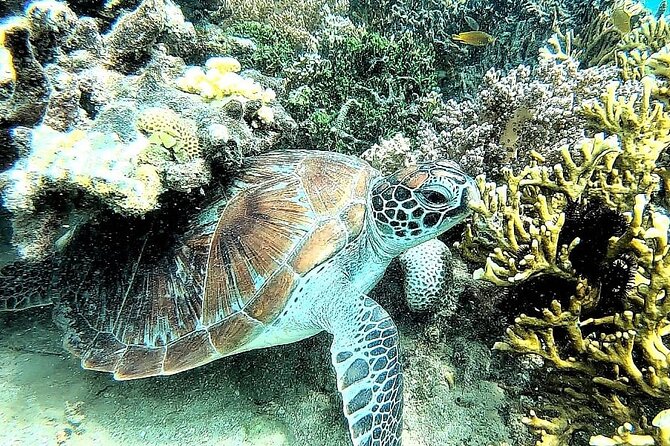 Day Trip Secret Island West Of Lombok - Tour Inclusions and Logistics