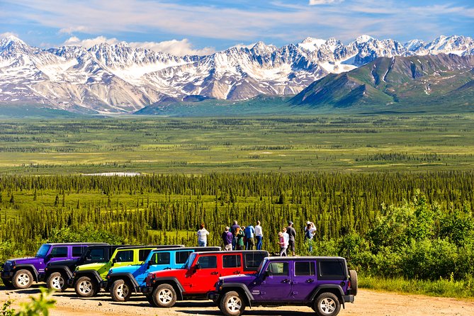 Denali Highway Jeep Excursion - Customer Reviews and Insights