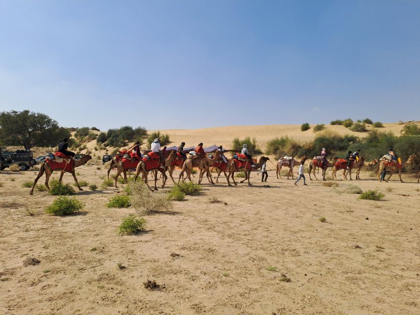 Desert Rose Jaisalmer: Luxury Tent In Thar Desert - Tips for Your Stay