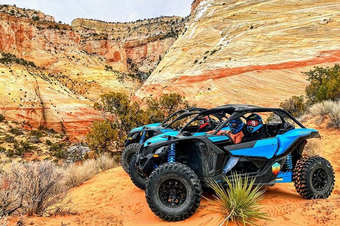 Dianas Throne UTV Adventure Near Zion National Park - Accessibility Information