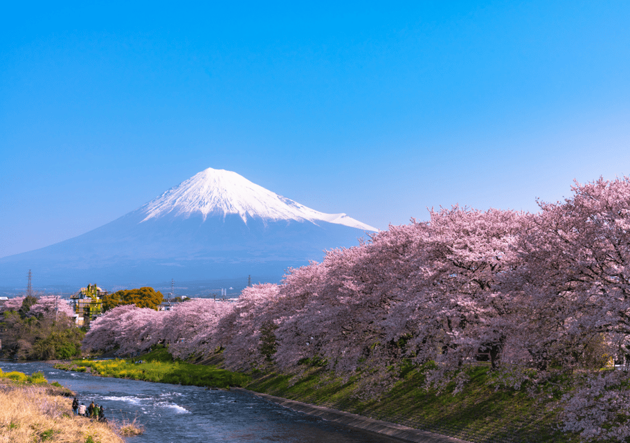 Discover Mount Fuji: Private Car/Van Day Tour From Tokyo - Customer Reviews