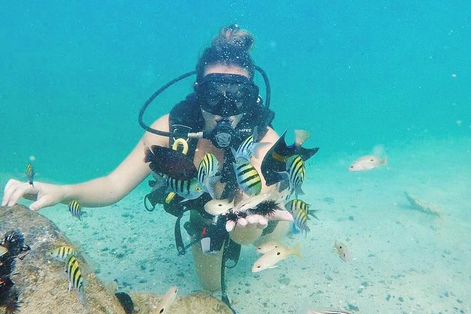 Discover Scuba Diving in Dubai - What to Expect During the Dive