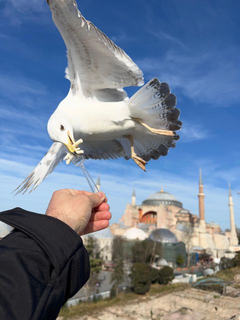 Discover the Highlights of Istanbul: Best Walking City Tour - Tour Exclusions