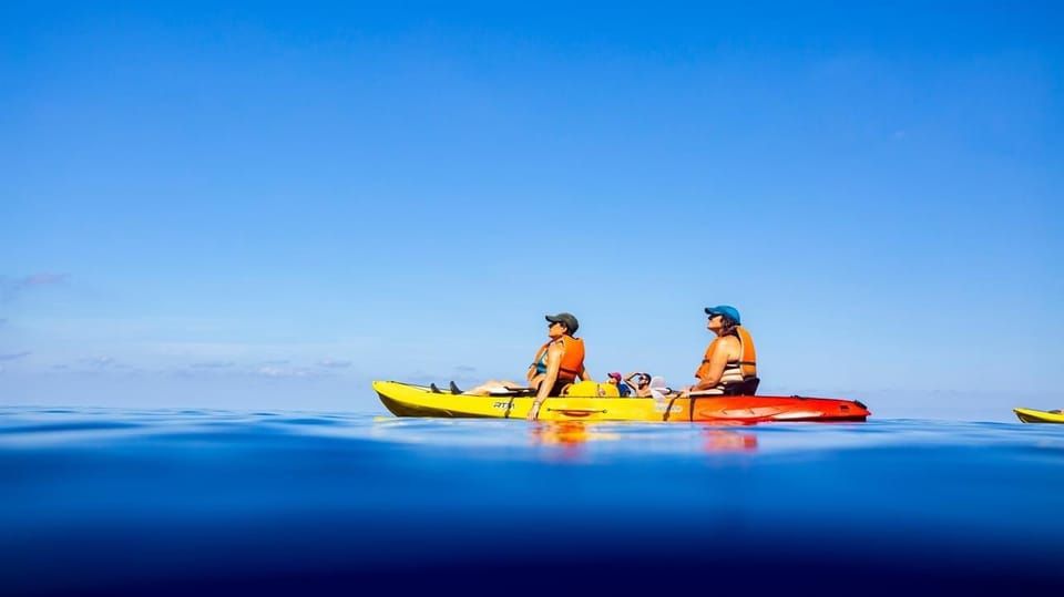 Discover the Island Dragonera by Kayak and on Foot - What to Bring