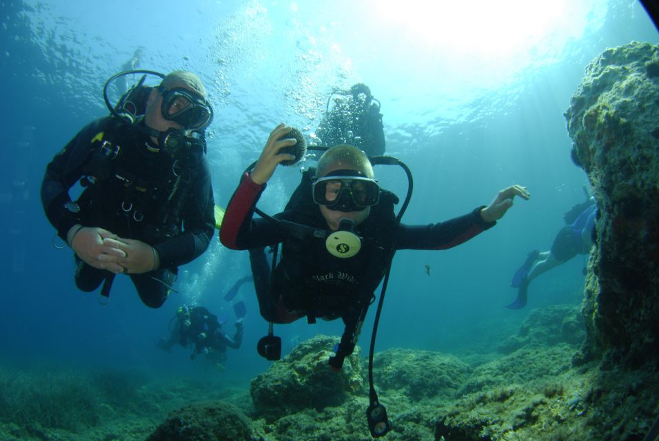 Discovery Dive - 2 Hour Uncertified Diver Introductory Dive - Explore the Adriatic