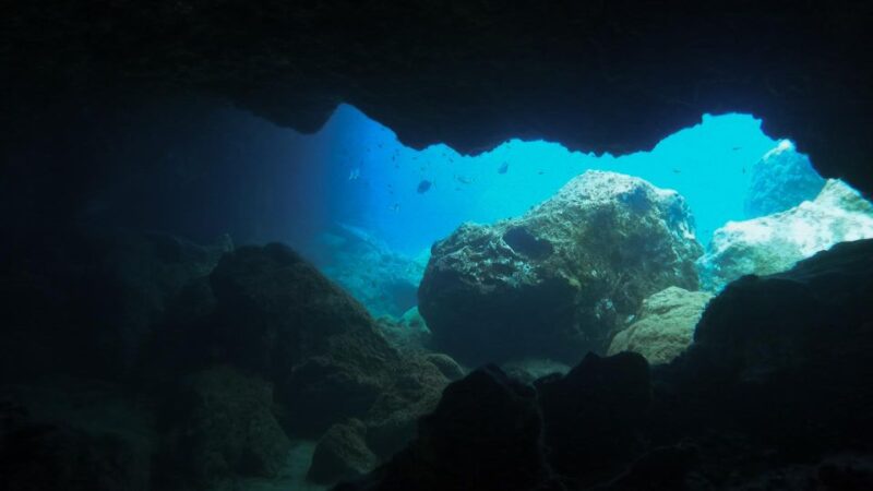 Diving at Lanzarote - 2 Guided Dives for Certified Divers - Guided Dive Details