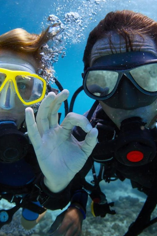 Diving Tour From Side With Lunch Included - Participant Restrictions and Safety