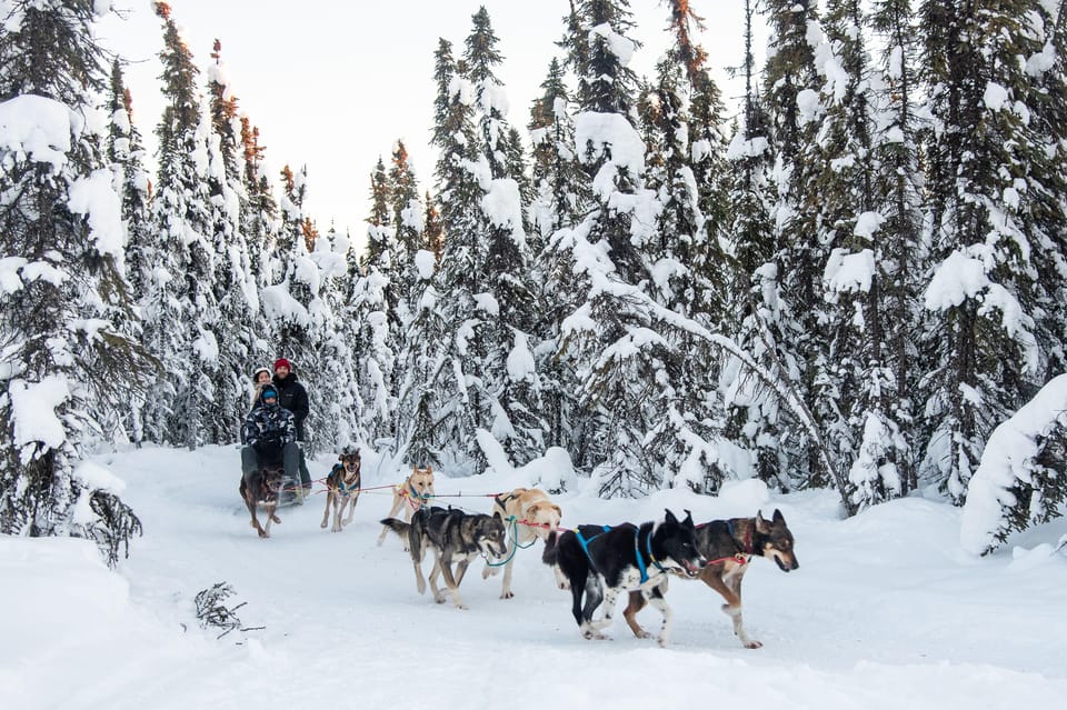 Dogsled and Reindeer Day Trip to Borealis Basecamp - Frequently Asked Questions