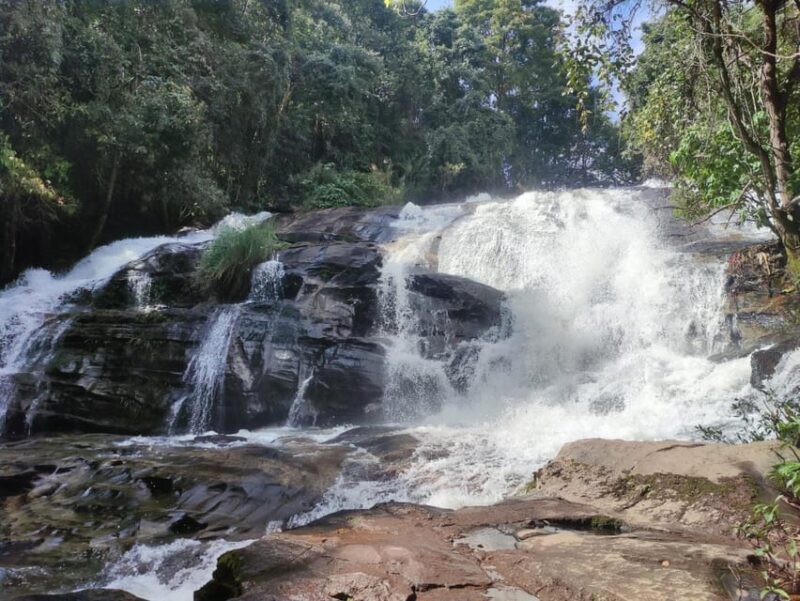 Doi Inthanont Soft Trek Pha Dork Siew Waterfall - Pickup and Transfer