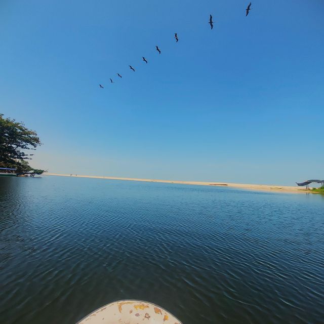 Don Diego River Mouth - Los Cocos Beach - Local Cuisine and Lunch