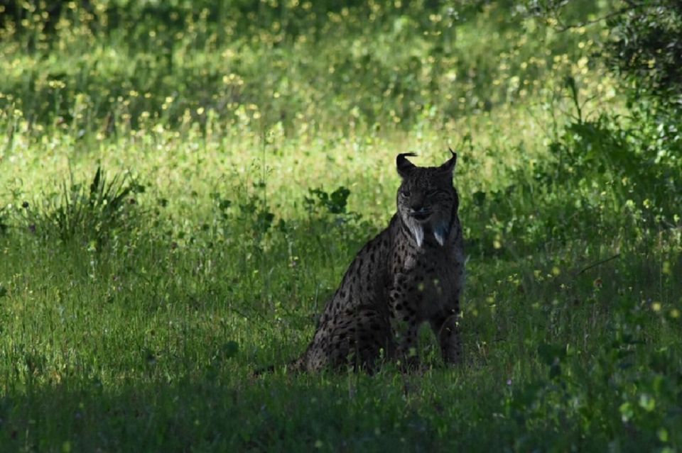 Doñana National Park: 2-Day Tour From Seville - Important Notes and What to Bring