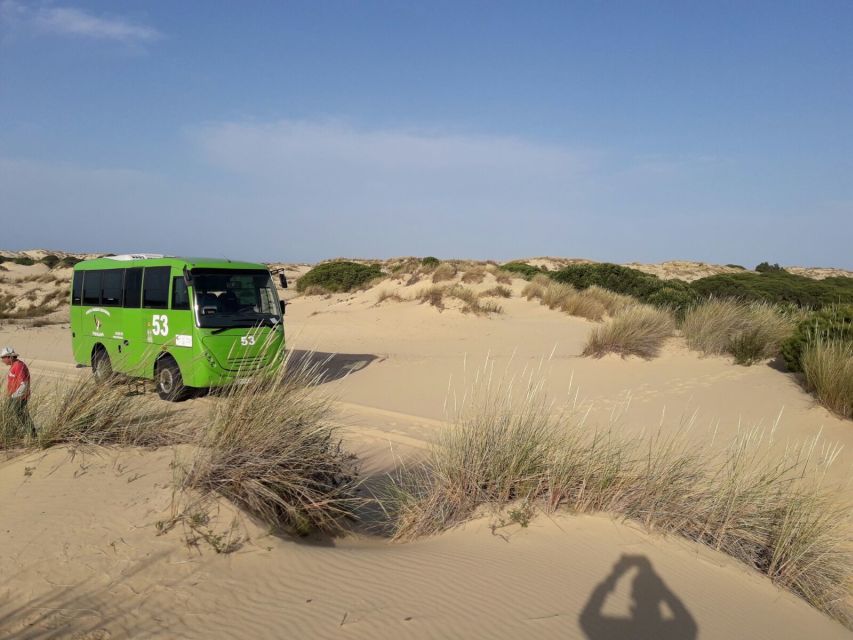 Doñana National Park Off-Road Tour From Seville - Customer Reviews and Ratings