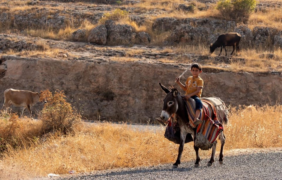 Donkey Safari and Village Tour With Lunch - Inclusions and Logistics