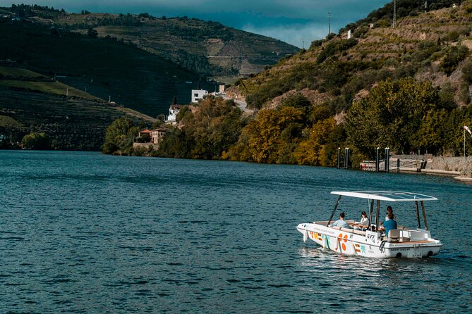 Douro Valley: 1h Solar Boat Experience - Two Wine Tasting - Local Wine Tasting