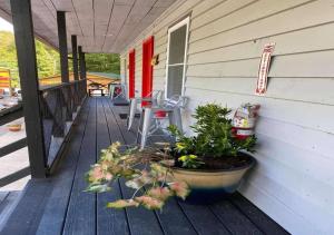 Dragon City - Dining Options