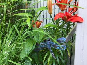 Dragonfly Guest House - Nearby Attractions