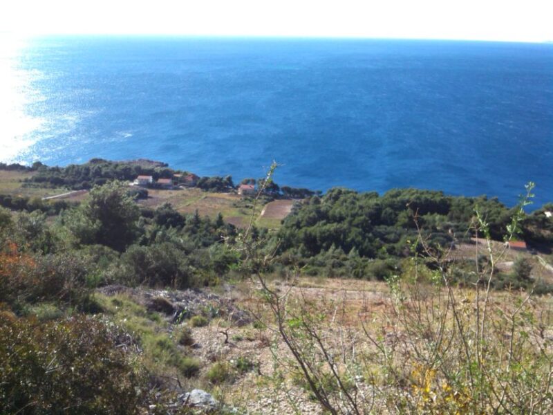 Dubrovnik: Deep Red Wine Tour of Pelješac - Customer Reviews and Ratings