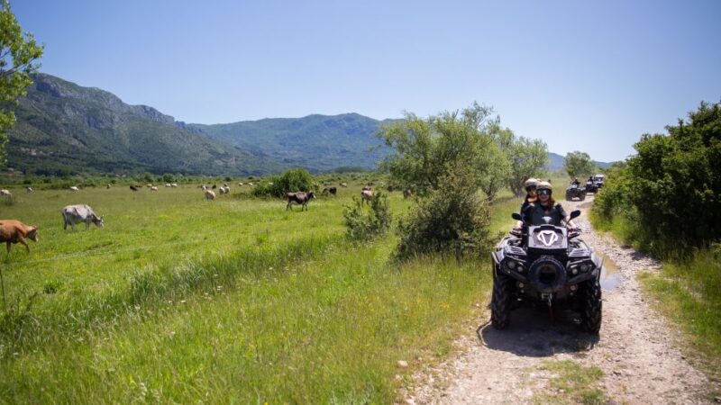 Dubrovnik: Kojan Koral ATV Quad Safari - Customer Reviews and Ratings