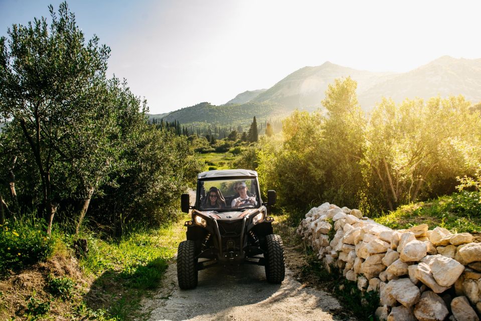 Dubrovnik: Private Buggy Safari Guided Tour (3 Hours) - Important Information