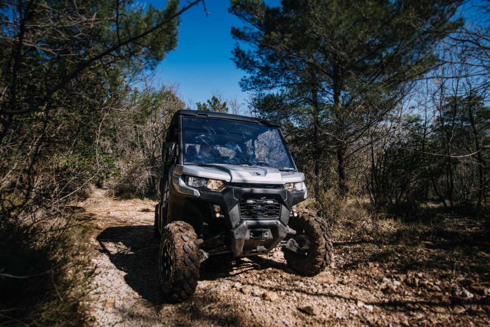 Dubrovnik: Private Panoramic Half-Day Buggy Tour With Brunch - Participant Information