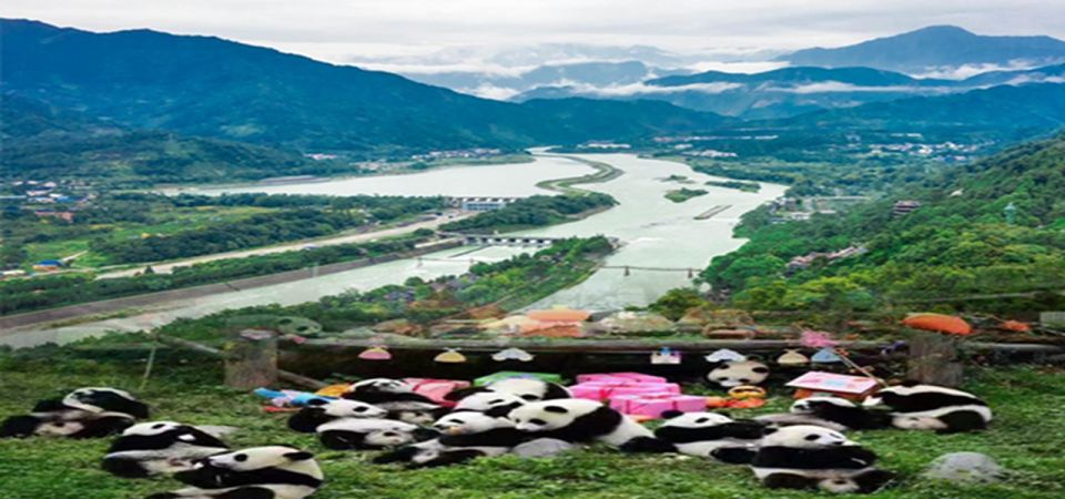 Dujiangyan Panda Base and Irrigation System Park Day Tour - Irrigation System and Temples