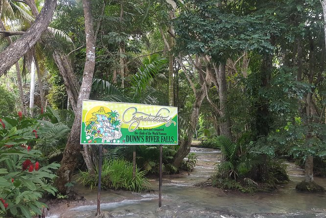 Dunns River Falls and Beach From Ocho Rios Jamaica - Activities at Dunns River Falls