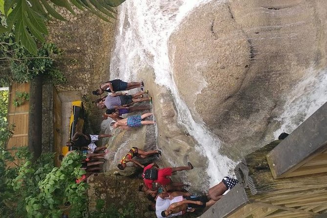 Dunns River Falls Scenic Tour - Accessibility Information