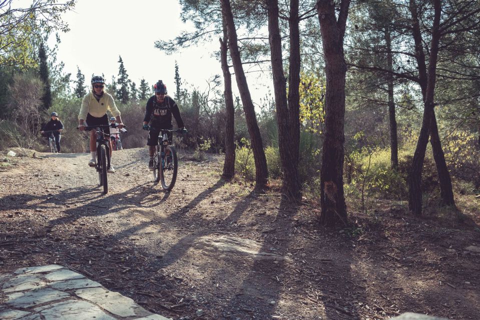 E-Bike Adventure in Thassos Island - Participant Restrictions and Recommendations