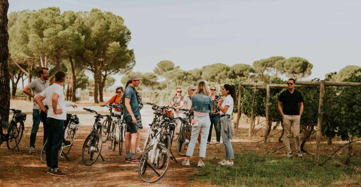 E-Bike Tour & Picnic in an Exclusive Winery Estate - Included Bicycles and Picnic Items