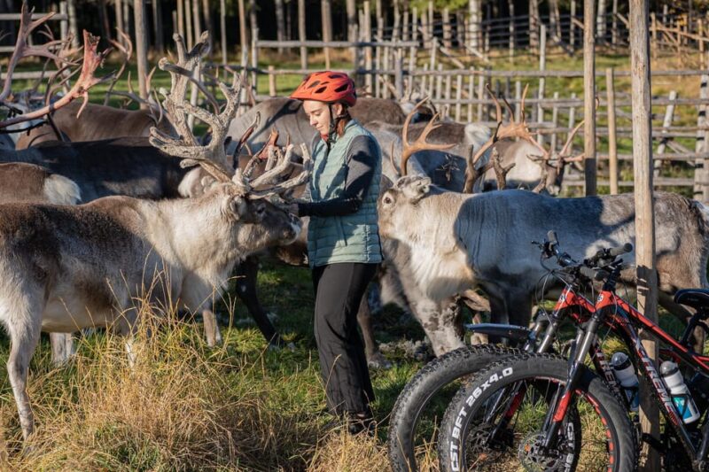 E-FATBIKE TRIP TO THE REINDEER FARM - Guided Tour Highlights