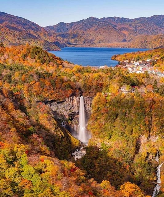 【Tokyo】 Nikko: Group Bus Tour - Tips for Travelers