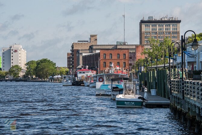 Eagles Island 50 Minute Narrated Boat Cruise - Tips for Travelers