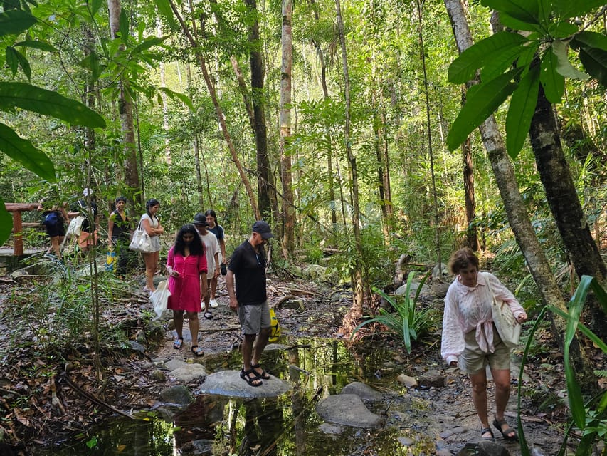 Early Bird Rainforest Walk & Forest Bathing - Important Meeting Information