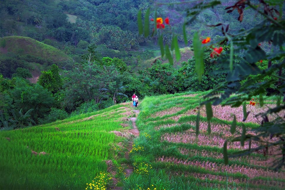 East Bohol: Anda, Rice Terraces, Waterfalls, Lamanok Island - Tour Inclusions and Recommendations