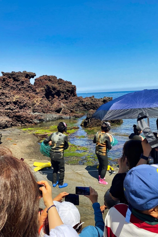 EAST Jeju: All Inclusive Private Tour W/ Tangerine Picking - Seongsan Ilchulbong