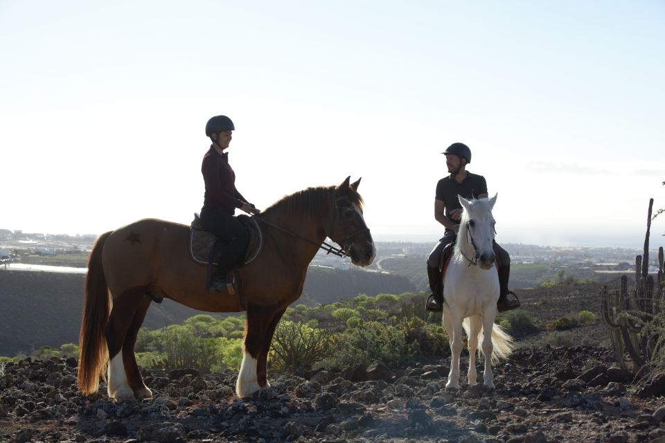 El Salobre: Horse Riding Adventure With Transfer Options - Booking and Cancellation Policy