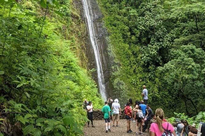 Electric Bike Ride & Manoa Falls Hike Tour - The E-Bike Ride Experience